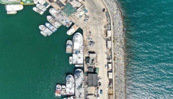 İzmir’de deniz kirliliği balıkçıları vurdu: Ege’de balıkçılar sardalyasız sezona hazırlanıyor