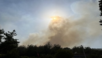 İzmir’de yangının sebebi yine sorumsuzluk: Kaynak makinesi kıvılcımı ormanı yaktı
