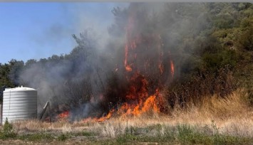 İzmir’deki orman yangın kontrol altında: Soğutma çalışmaları devam ediyor
