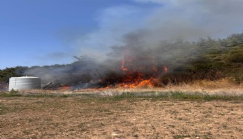 İzmir Menderes'te orman yangını