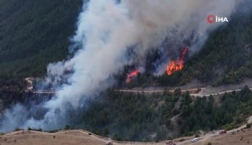Karabük’te orman yangını rüzgarın etkisiyle büyüyor