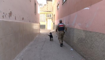 Kilis’te 2 yaşındaki kız çocuğu kayboldu