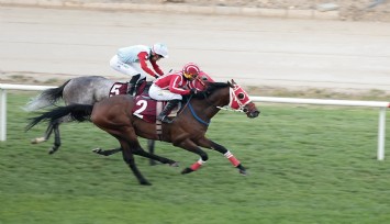 Konak Belediye Başkanlığı Koşusu’nu Gutshot kazandı