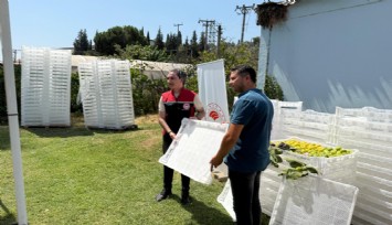 Kuru incirde aflatoksin ve okratoksinle mücadele için üreticilere 19 bin kerevet dağıtıldı