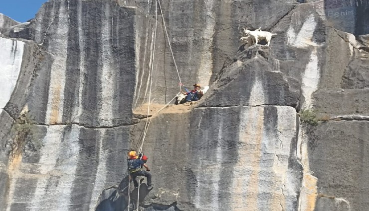 Kütahya'da AFAD’dan keçi kurtarma operasyonu