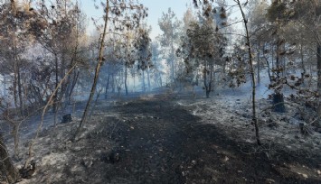 Manisa'da orman yangını: 5 hektarlık alan zarar gördü