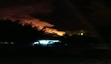 Muğla’da çıkan orman yangını büyümeden kontrol altına alındı