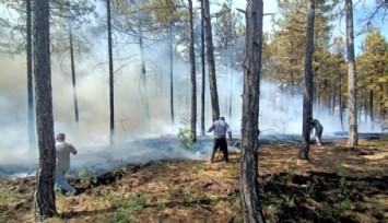Orman yangına erken müdahale: Denizli yaşanabilecek faciadan döndü
