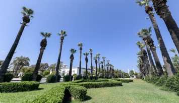 Palmiye ağaçlarına yapay zeka desteği ile koruma