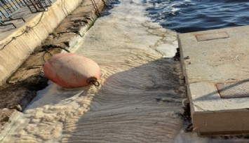 Prof. Doğan Yaşar açıkladı: İzmir'de müsilaj alarmı