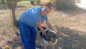 Sahibinin mezarının başından ayrılmayan vefalı köpek, artık Ceylan Ertem’in Urla’daki yuvasında