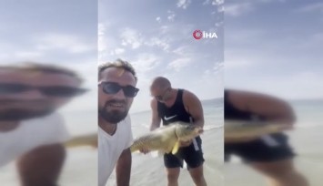 Sapanca Gölü’nde 13 kilo sazan yakaladı: Öpüp suya geri saldı