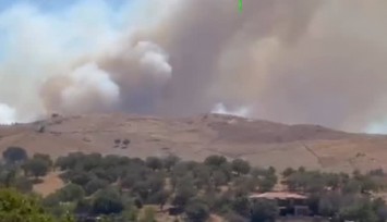 Seferihisar yine yanıyor