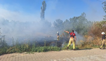 Selçuk'ta sazlık alanda yangın paniği