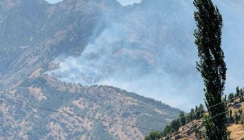 Şırnak’ta orman yangını: Alevler kontrol altına alınamıyor