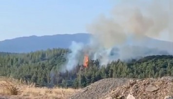 Tavas'ın ciğerlerini ateşe veren kundakçılardan akıl almaz tuzak