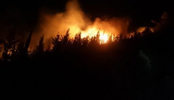 Urla’daki yangına havadan ve karadan müdahale