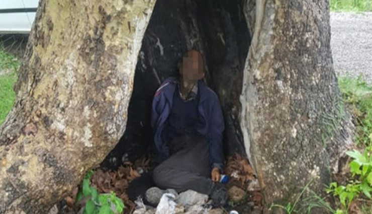 Yağmurda sığındığı ağacaca yıldırım düşen esnaf hayatını kaybetti