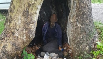 Yağmurda sığındığı ağacaca yıldırım düşen esnaf hayatını kaybetti