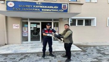 Yaralı şahinin imdanına jandarma yetişti: Tedavisinin ardından gökyüzüne bırakıldı