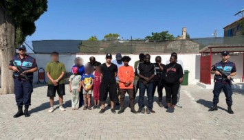 Zeytinlik alana saklandılar: 16 düzensiz göçmen yakalandı