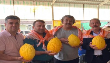 Acıpayam Kavunu coğrafi işaret tescil belgesi aldı