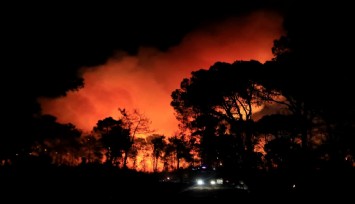 Antalya'da yangın: Otellere metreler kala alevler durduruldu