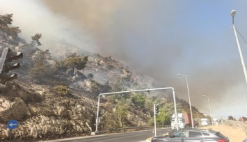 Aydın Söke’de makilik alanda yangın: Söndürme çalışmaları sürüyor