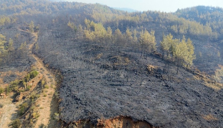 Bakan Yumaklı: 'Büyük ölçüde kontrol sağlandı'