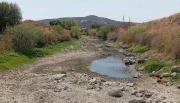 Bakırçay kuruyor, çiftçi isyan ediyor: 'Ürünlerimiz tarlada yandı'