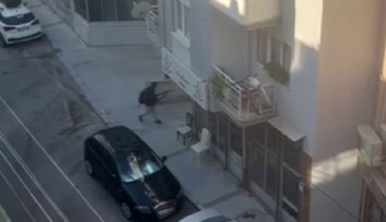 Balçova’daki silahlı saldırganın ailesi konuştu: 'Pısırık bir çocuktu, son zamanlarda kafa kesme videoları izliyordu'