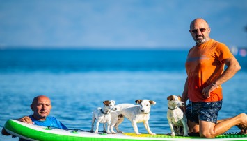 Balıkesir'de köpekleriyle deniz keyfi yapan vatandaş ilgi odağı oldu