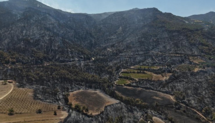 Buldan’daki orman yangını kontrol altına alındı: 'Orman yangınlarına sebebiyet verecek davranışlardan uzak duralım'
