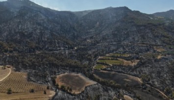 Buldan’daki orman yangını kontrol altına alındı: 'Orman yangınlarına sebebiyet verecek davranışlardan uzak duralım'