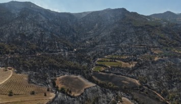 Buldan yangınında felaketin boyutu havadan görüntülendi: Soğutma çalışmaları devam ediyor