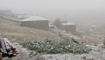 Doğu Karadeniz’in sahili ve iç kesimlerindeki şiddetli yağış yerini zirvelerde kara bıraktı