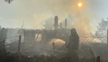 Düzce'de orman yangınıyla mücadele devam ediyor