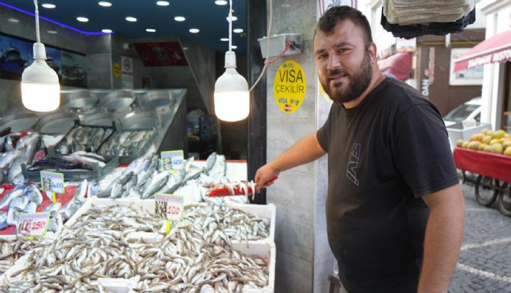 Hamsi için geri sayım başladı: Balıkçılar yolunu gözlüyor