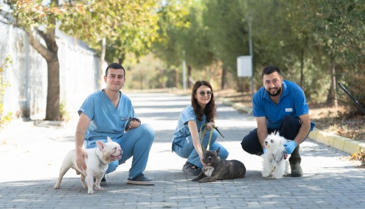 İzmir’de 20 köpek, kötü koşullardan kurtarılarak bakımevine alındı