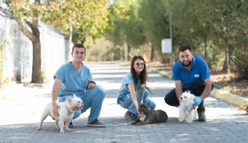 İzmir’de 20 köpek, kötü koşullardan kurtarılarak bakımevine alındı