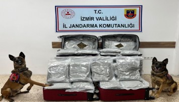İzmir'de jandarmadan operasyon: 180 kilo esrar yakalandı