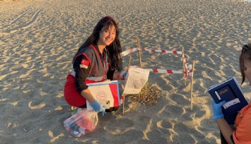 Kum zambaklarını koparanın cezası: 557 bin TL