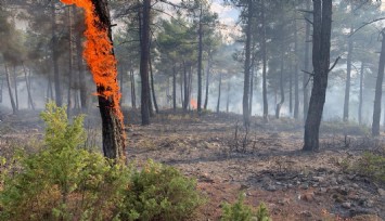 Kütahya’da yıldırım, orman yangınına neden oldu: 8 dekar alan zarar gördü
