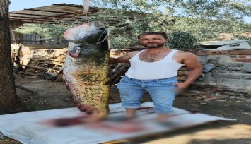 Manisa'da görenler hayrete düştü: 2 Metrelik yayın balığını oltayla yakaladı