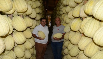 Manisa’nın tescilli lezzeti: Kırkağaç kavunu artık Avrupa’da da koruma altında