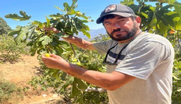 Mucize ameliyatla hayata döndü: Başkasının kollarıyla hayata tutunuyor