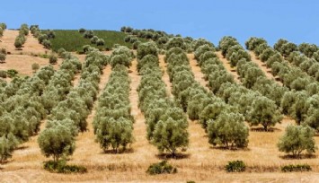 Resmi Gazete'de yayımlandı: Menderes'te 4 taşınmaz vitrine çıkıyor