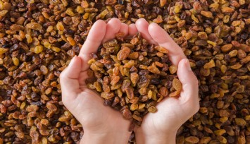 Türkiye çekirdeksiz kuru üzümde tarihe geçti