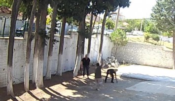 Zabıtalara şiddet uygulayan Kale Belediye Başkanına 3 ayrı suç duyurusu: 'Görevden alınma için başvuru yapacağız'