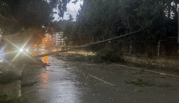 Buca’da fırtına mesaisi: Belediye ekipleri gece gündüz sahada